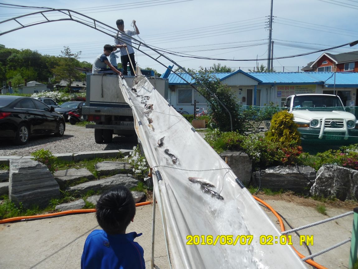 5��7�� 053.JPG