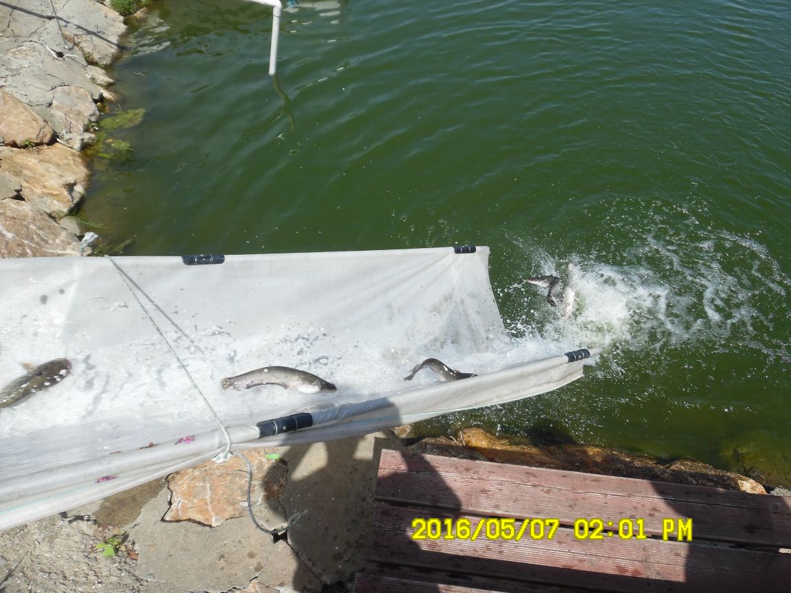 5��7�� 056.JPG