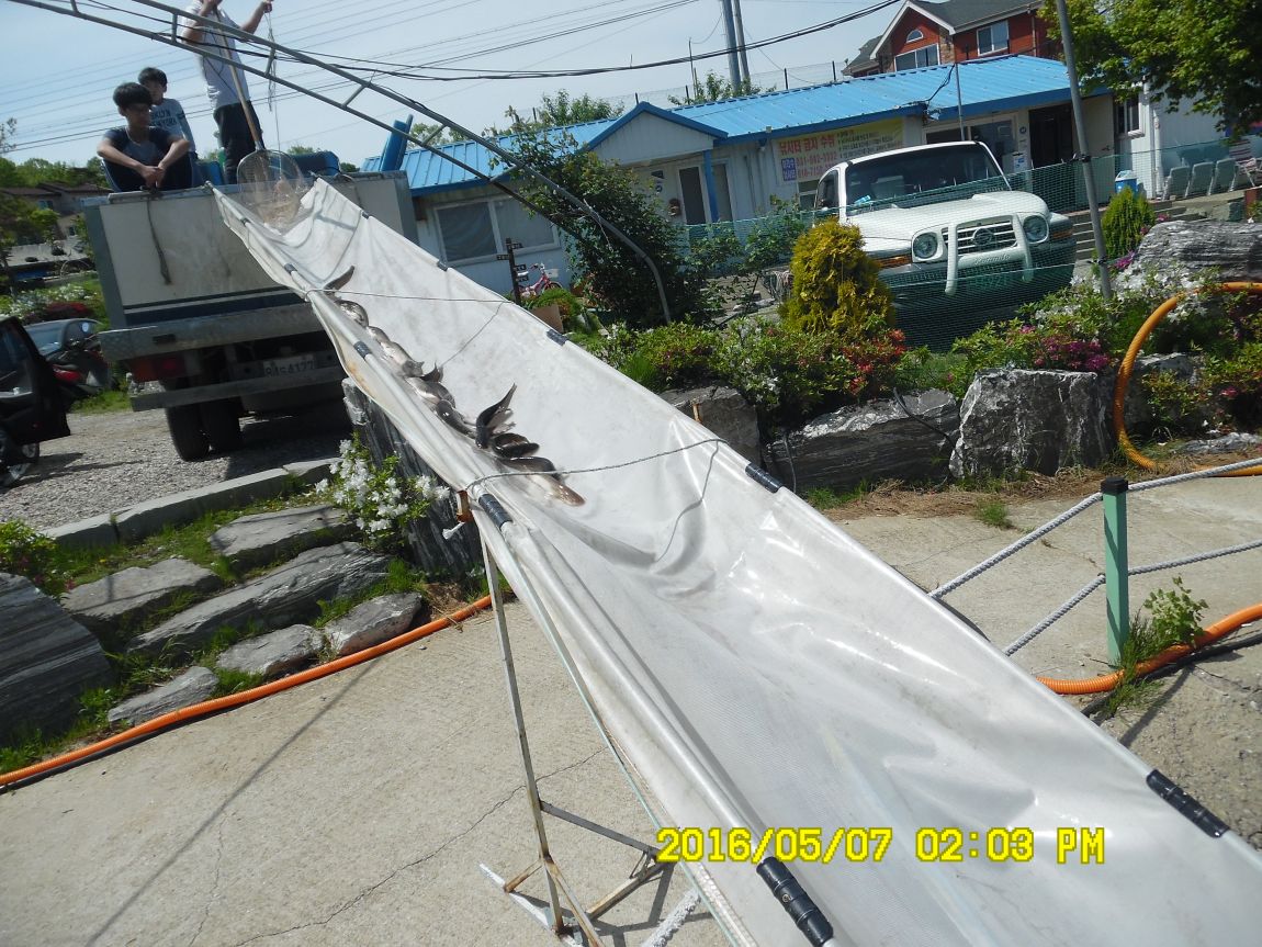 5��7�� 057.JPG