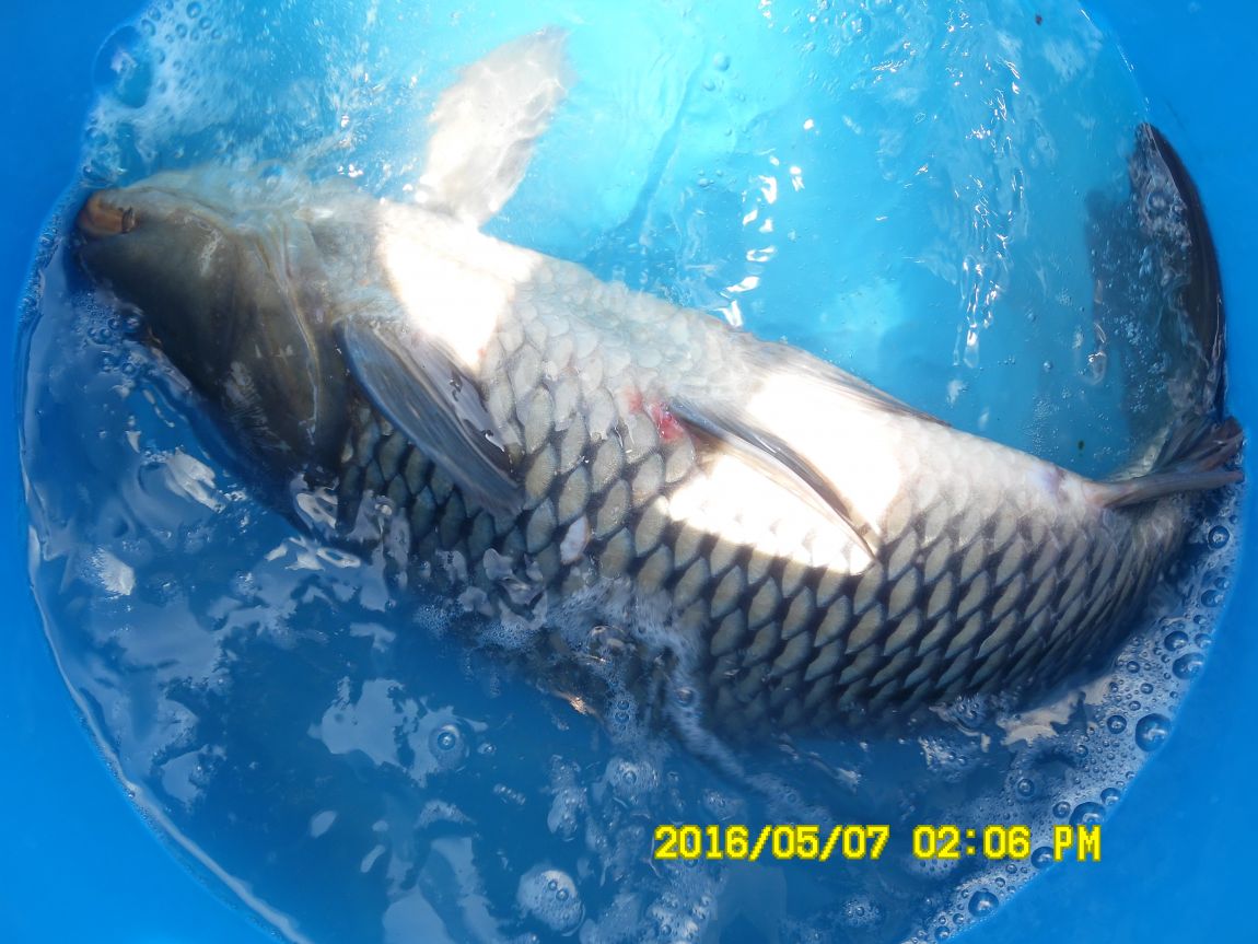 5��7�� 059.JPG