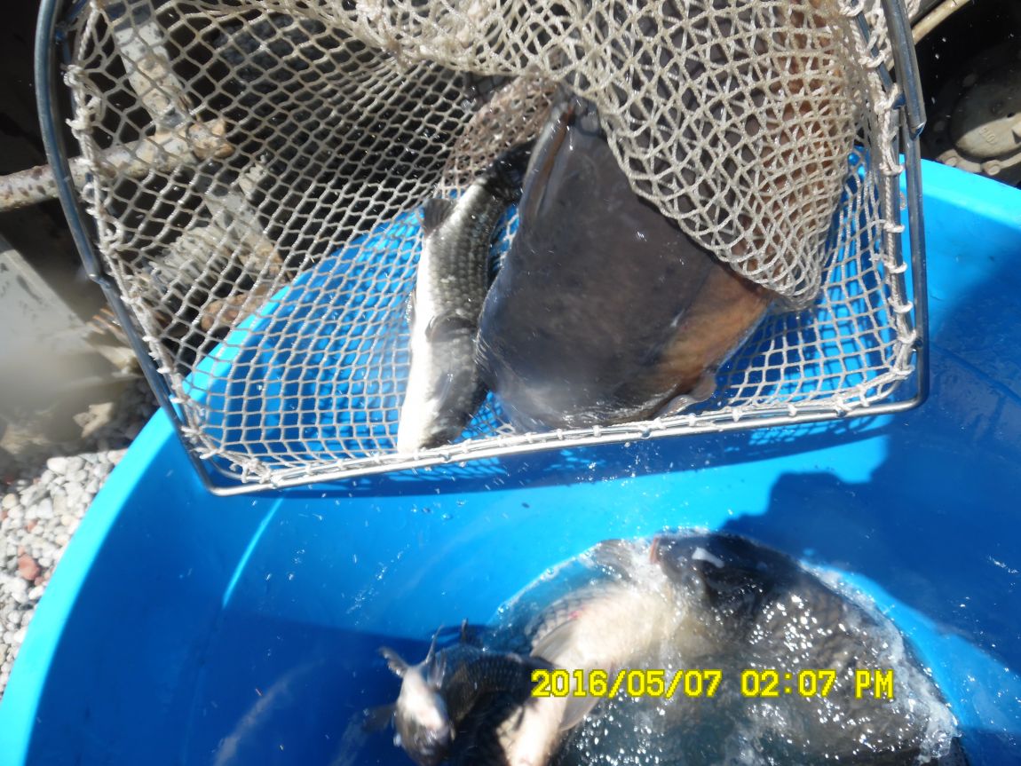 5��7�� 060.JPG