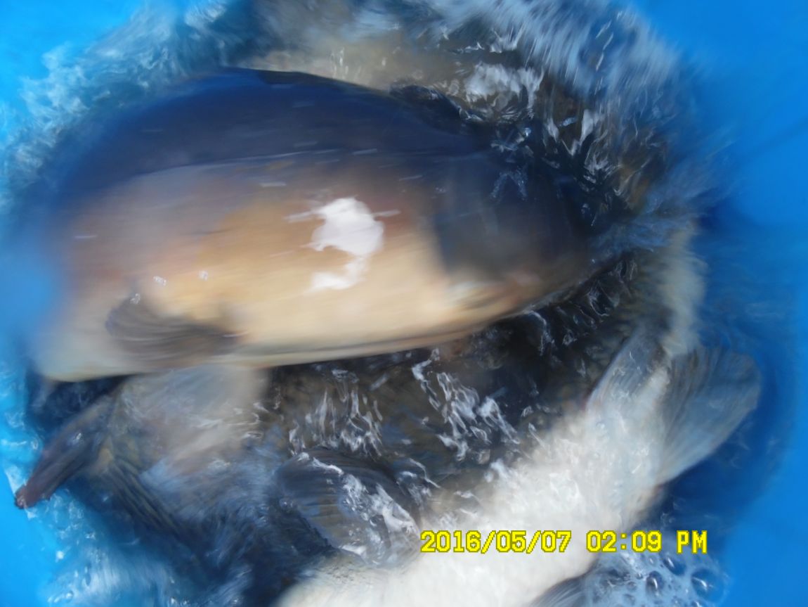 5��7�� 061.JPG