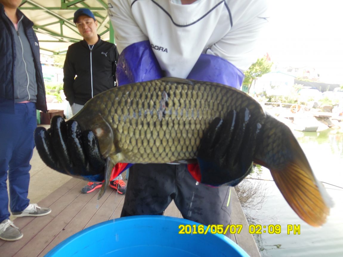 5��7�� 062.JPG