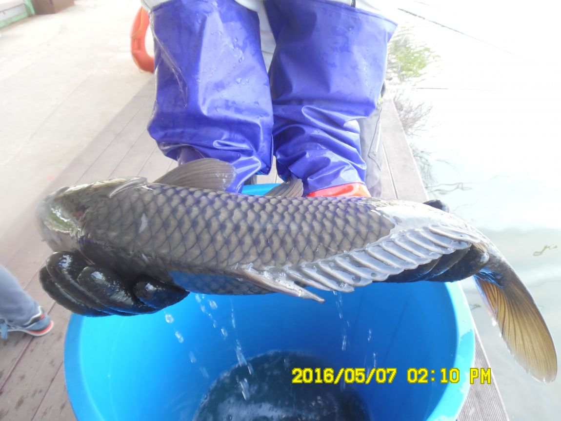 5��7�� 065.JPG