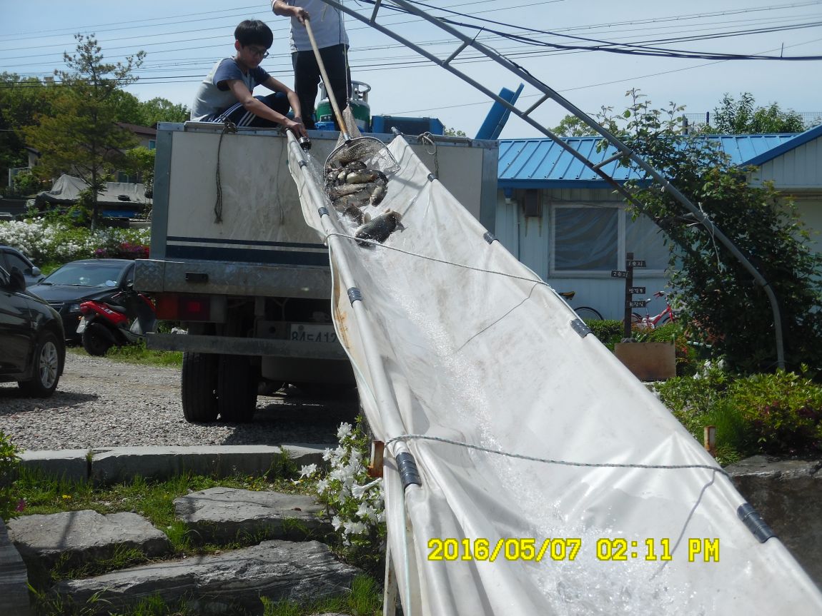 5��7�� 066.JPG