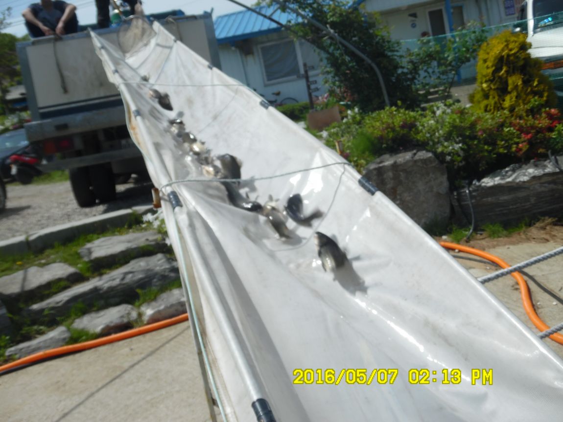 5��7�� 070.JPG