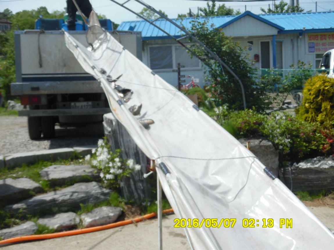 5��7�� 071.JPG