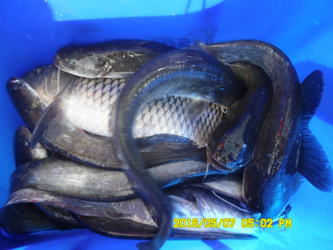 5��7�� 075.JPG