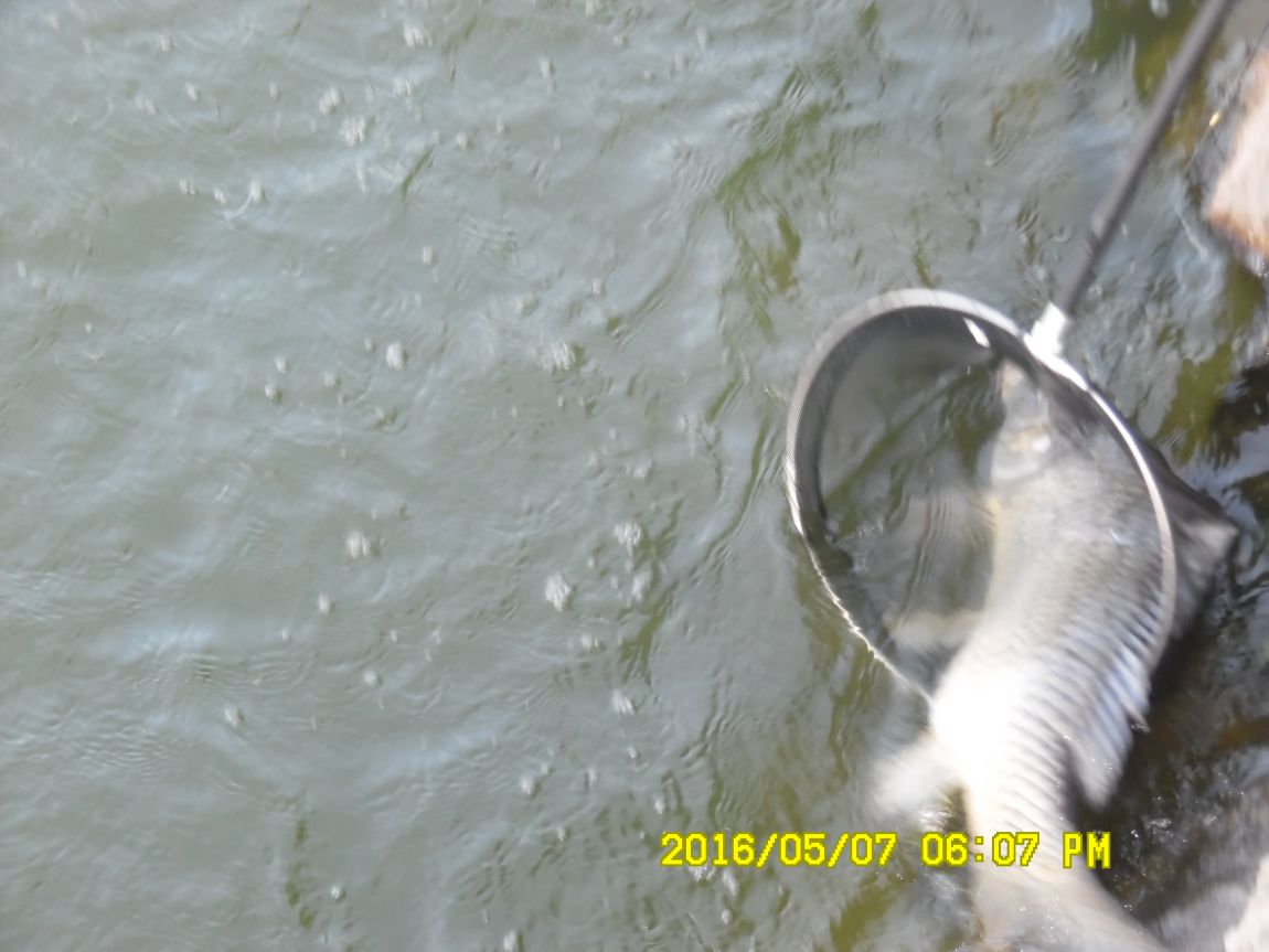 5��7�� 082.JPG