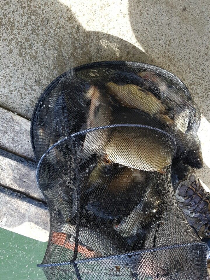 KakaoTalk_20160508_214536858.jpg
