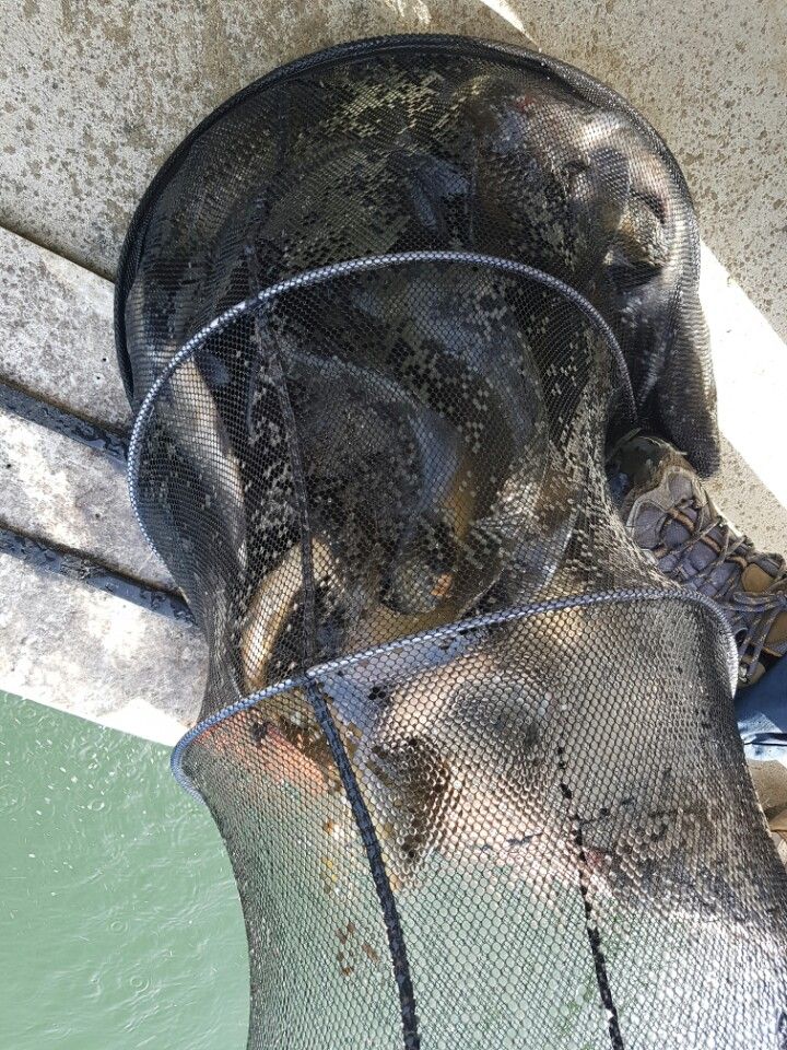 KakaoTalk_20160508_214537090.jpg