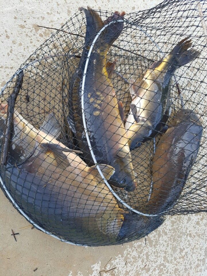 KakaoTalk_20160508_214538180.jpg