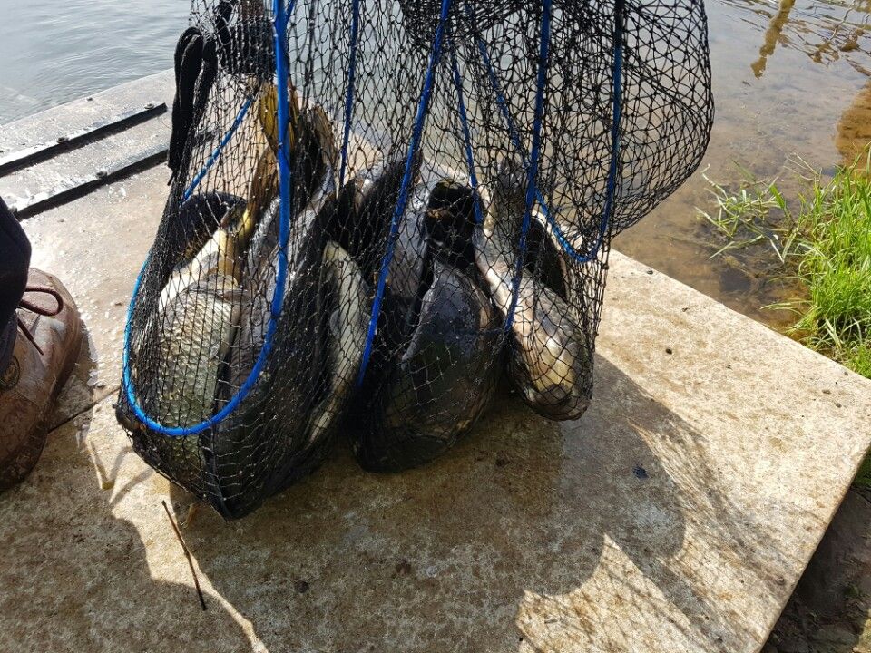KakaoTalk_20160508_214537865.jpg
