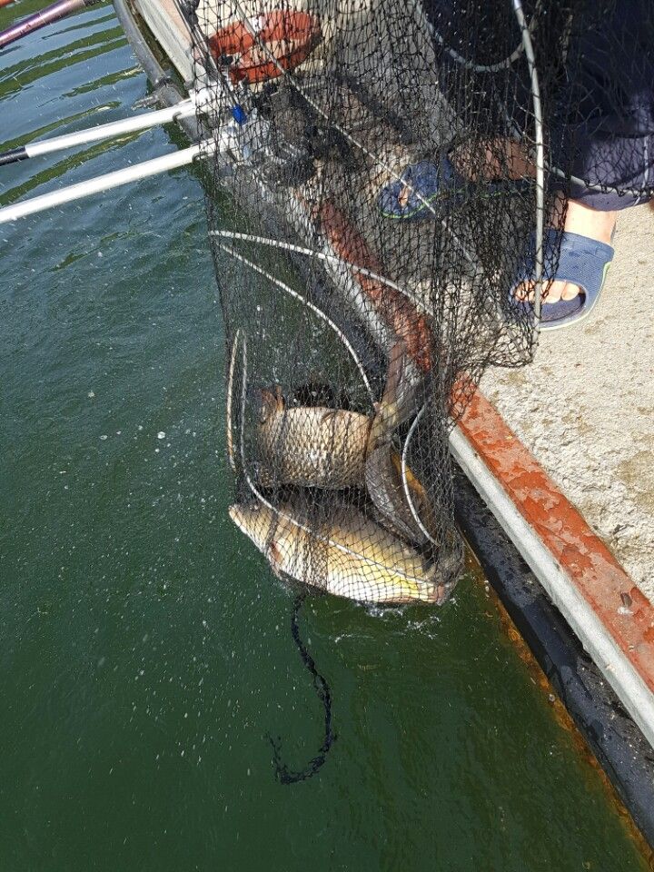 KakaoTalk_20160508_214539387.jpg