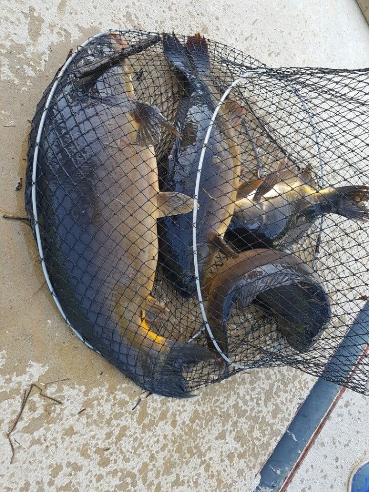 KakaoTalk_20160508_214538601.jpg