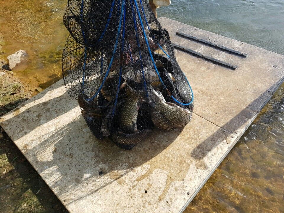KakaoTalk_20160508_214539021.jpg