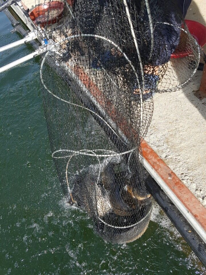 KakaoTalk_20160508_214539636.jpg