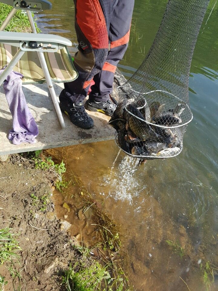 KakaoTalk_20160508_214541101.jpg