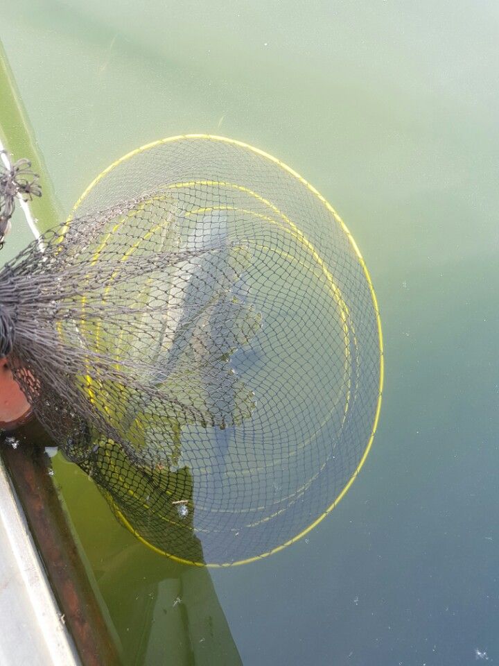 KakaoTalk_20160508_214540793.jpg