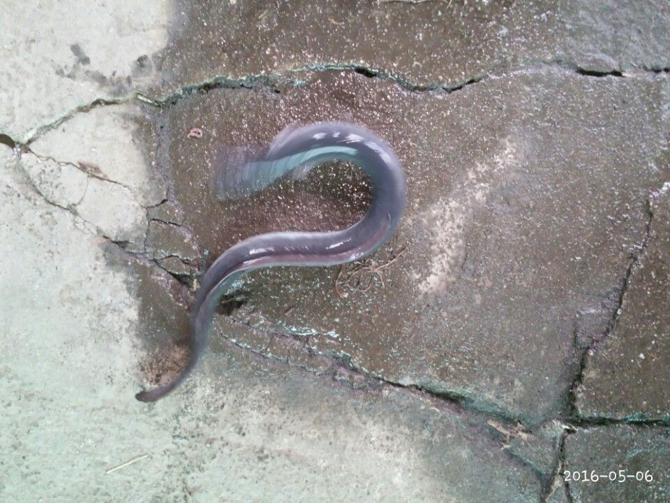 KakaoTalk_20160506_153607691.jpg