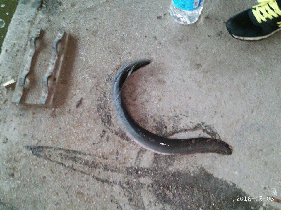 KakaoTalk_20160506_153609510.jpg