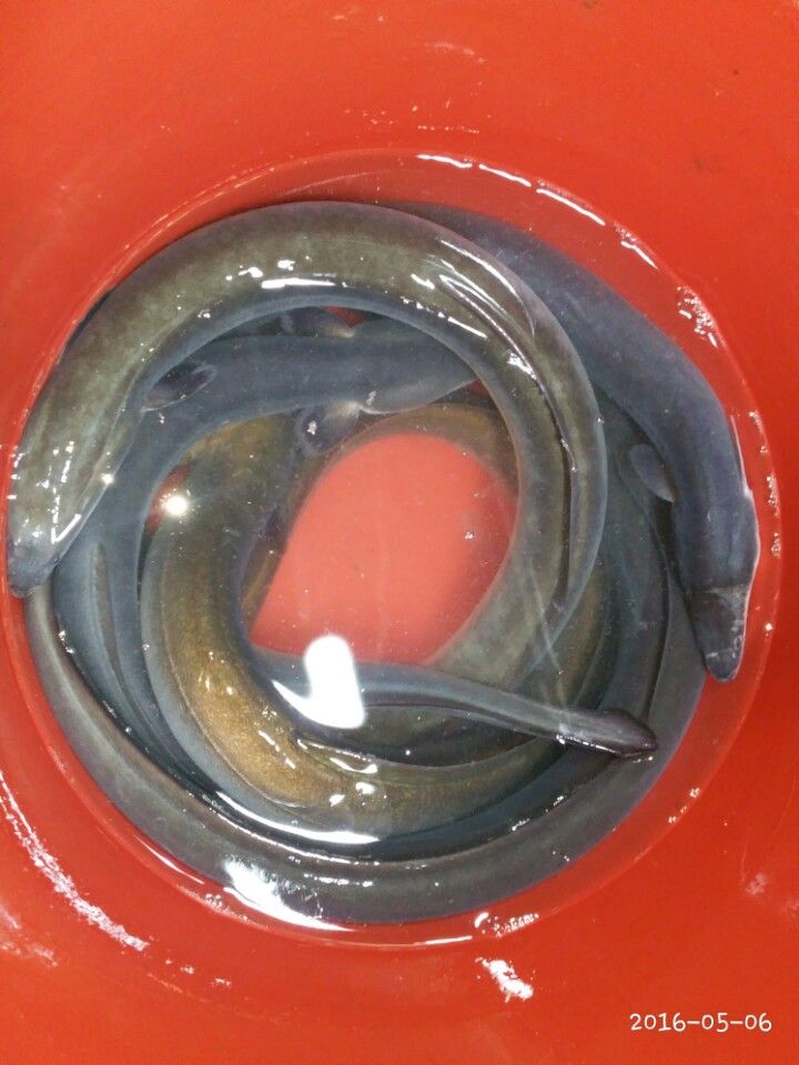 KakaoTalk_20160506_153610776.jpg
