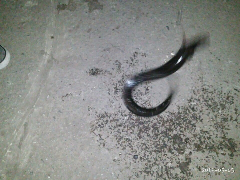 KakaoTalk_20160506_153613152.jpg
