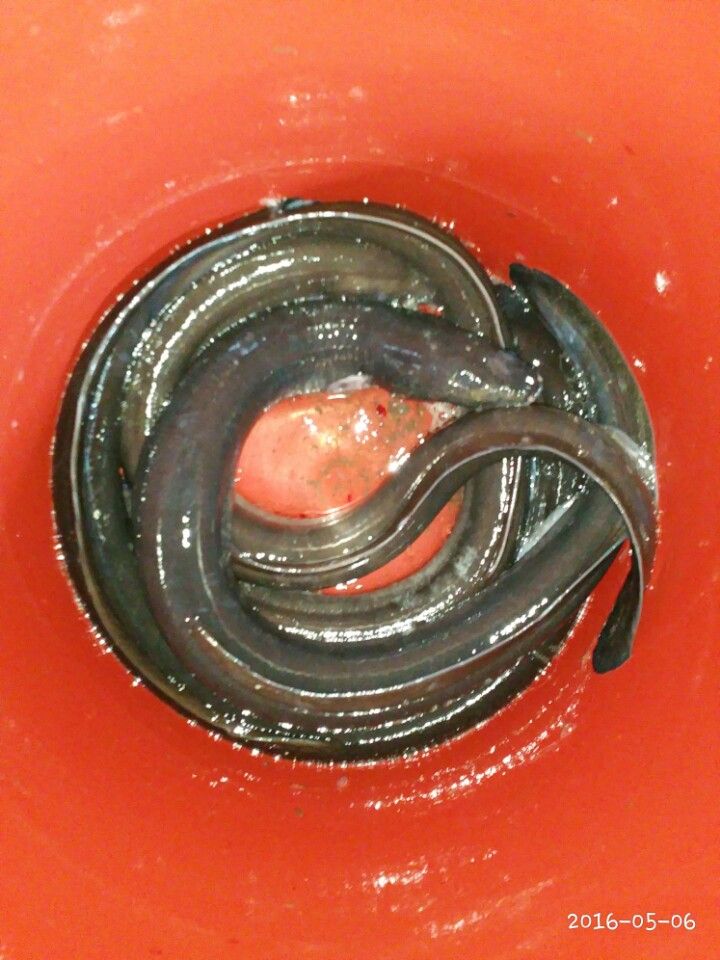 KakaoTalk_20160506_153613706.jpg