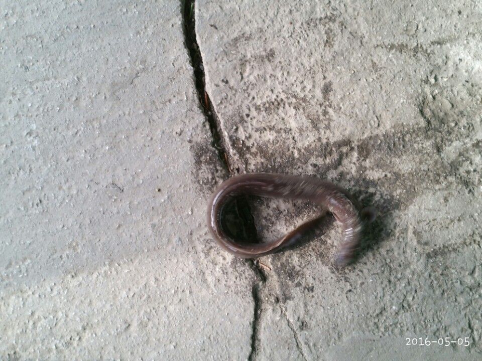 KakaoTalk_20160506_153615170.jpg