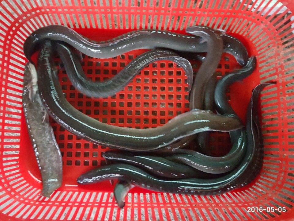 KakaoTalk_20160506_153617023.jpg