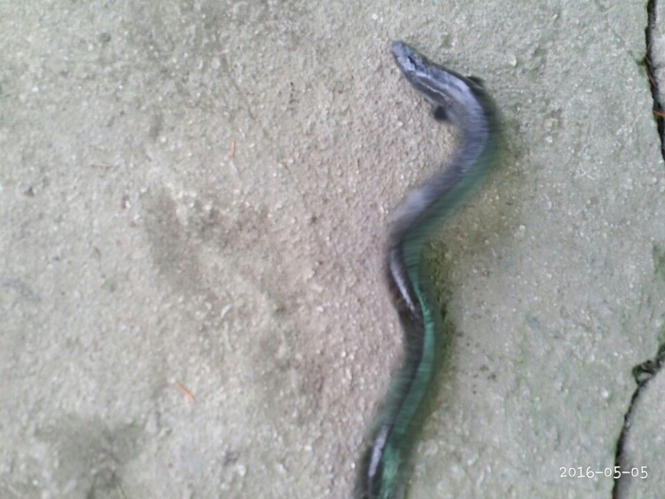 KakaoTalk_20160506_153618015.jpg