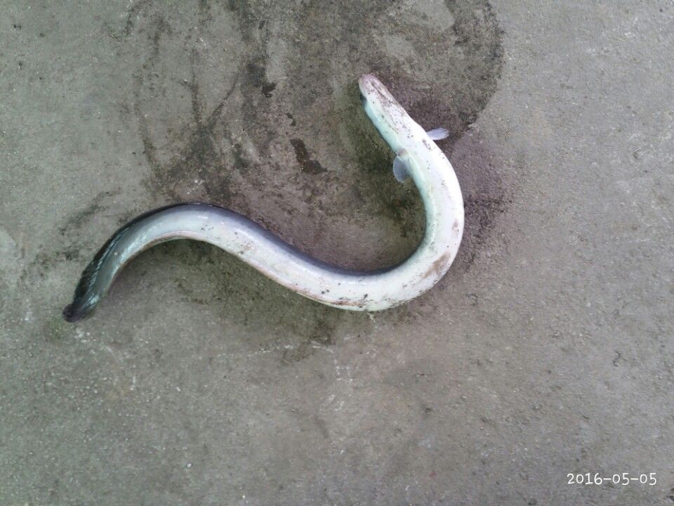 KakaoTalk_20160506_153637568.jpg