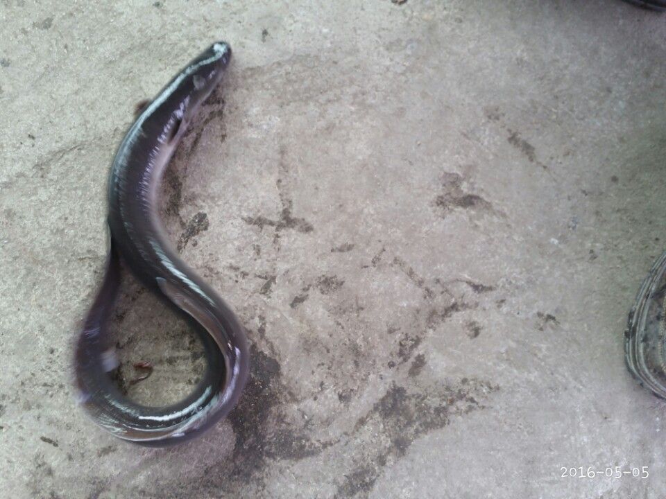 KakaoTalk_20160506_153639925.jpg