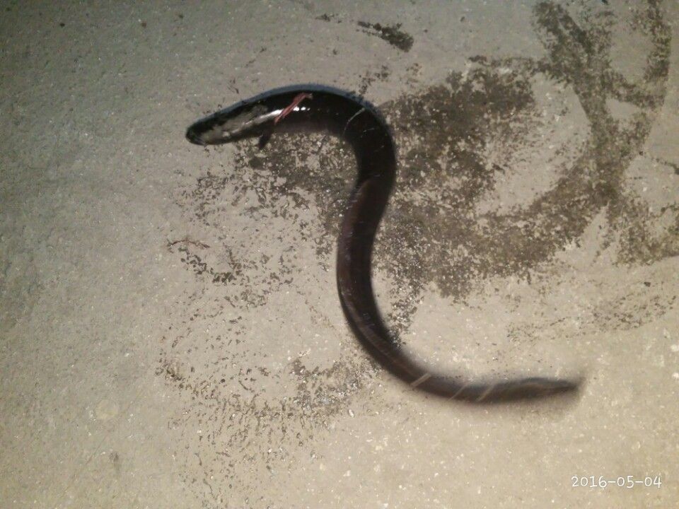 KakaoTalk_20160506_153644973.jpg