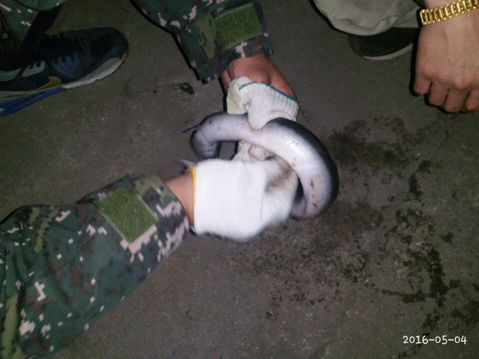 KakaoTalk_20160506_153646097.jpg