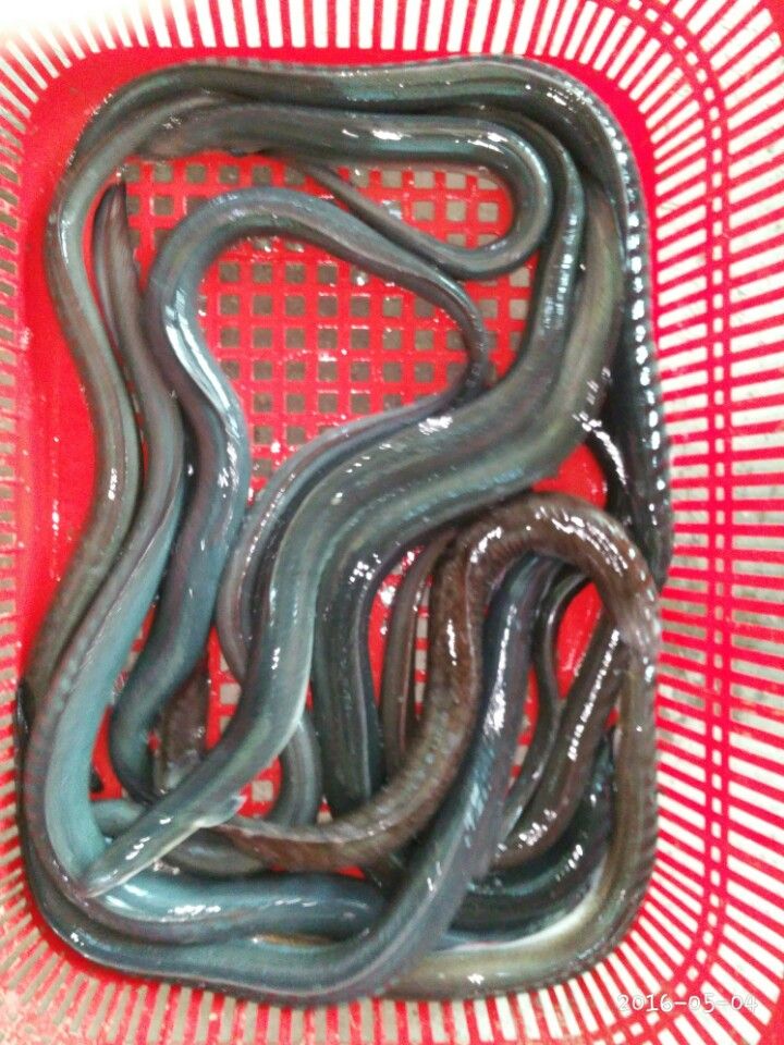 KakaoTalk_20160506_153656303.jpg