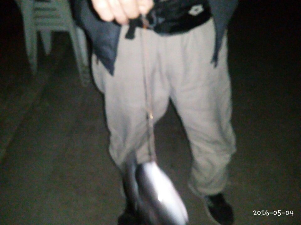 KakaoTalk_20160506_153645470.jpg