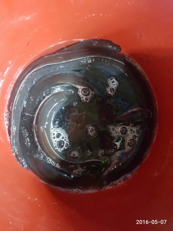 KakaoTalk_20160507_230646556.jpg