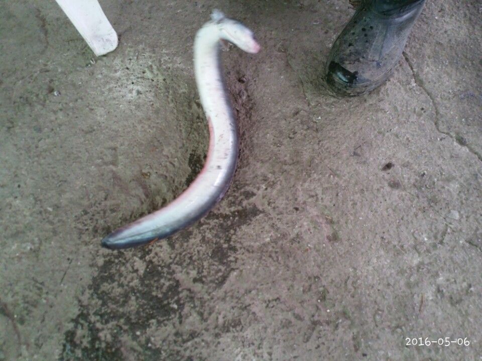 KakaoTalk_20160506_154627047.jpg