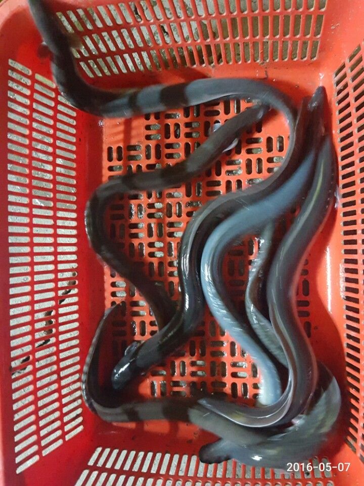 KakaoTalk_20160507_230715382.jpg