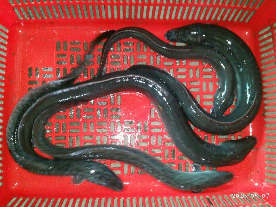 KakaoTalk_20160507_230959921.jpg