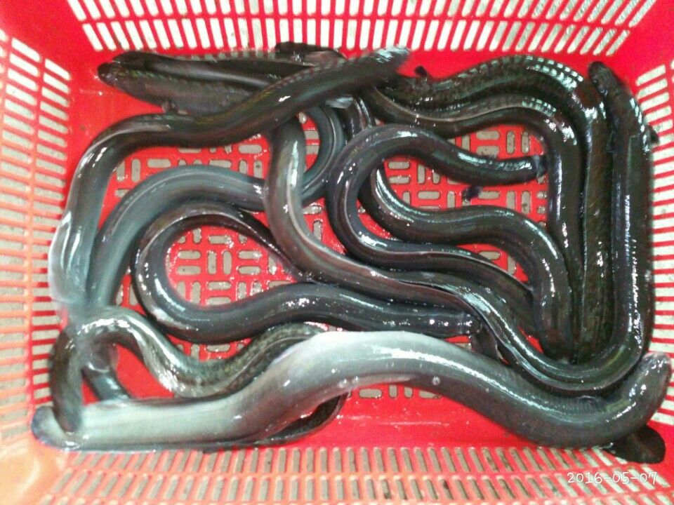 KakaoTalk_20160507_231000753.jpg