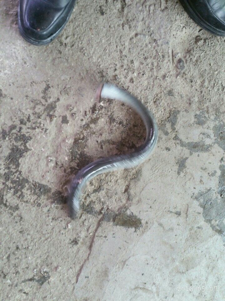 KakaoTalk_20160507_231001955.jpg
