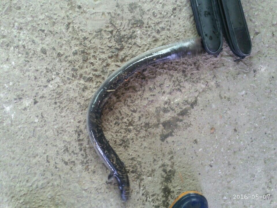 KakaoTalk_20160507_231001343.jpg