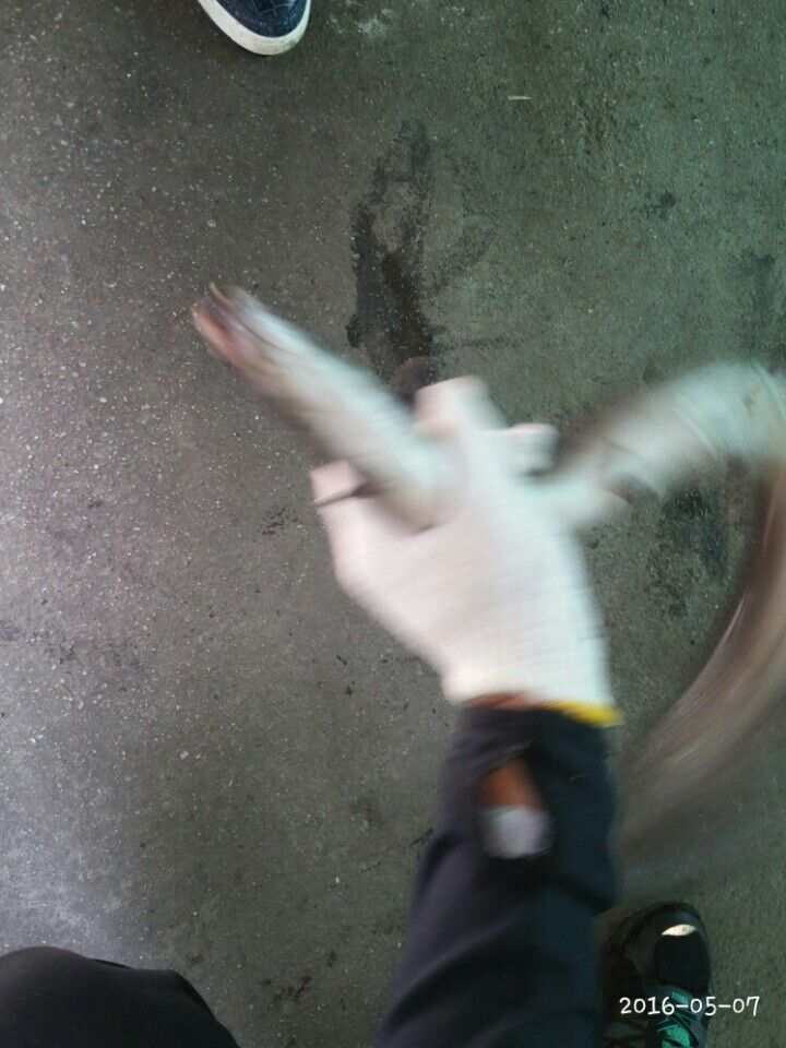 KakaoTalk_20160507_231003178.jpg