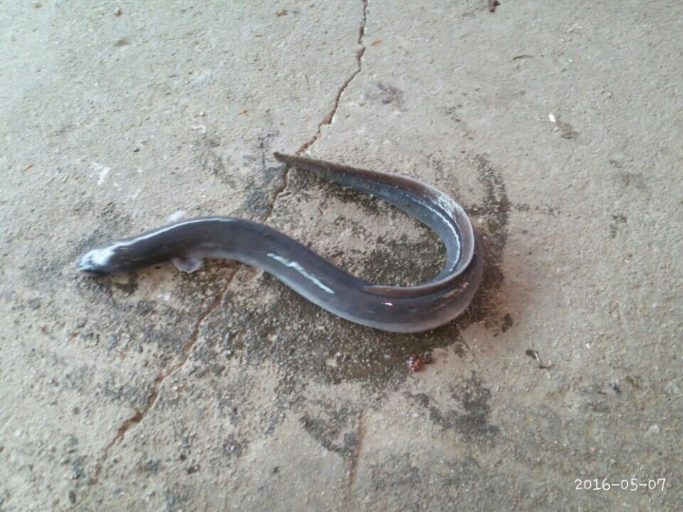 KakaoTalk_20160507_231005476.jpg