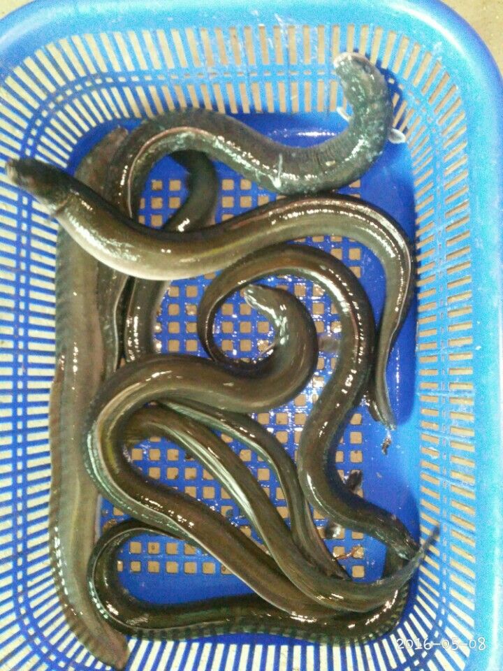 KakaoTalk_20160508_210057122.jpg