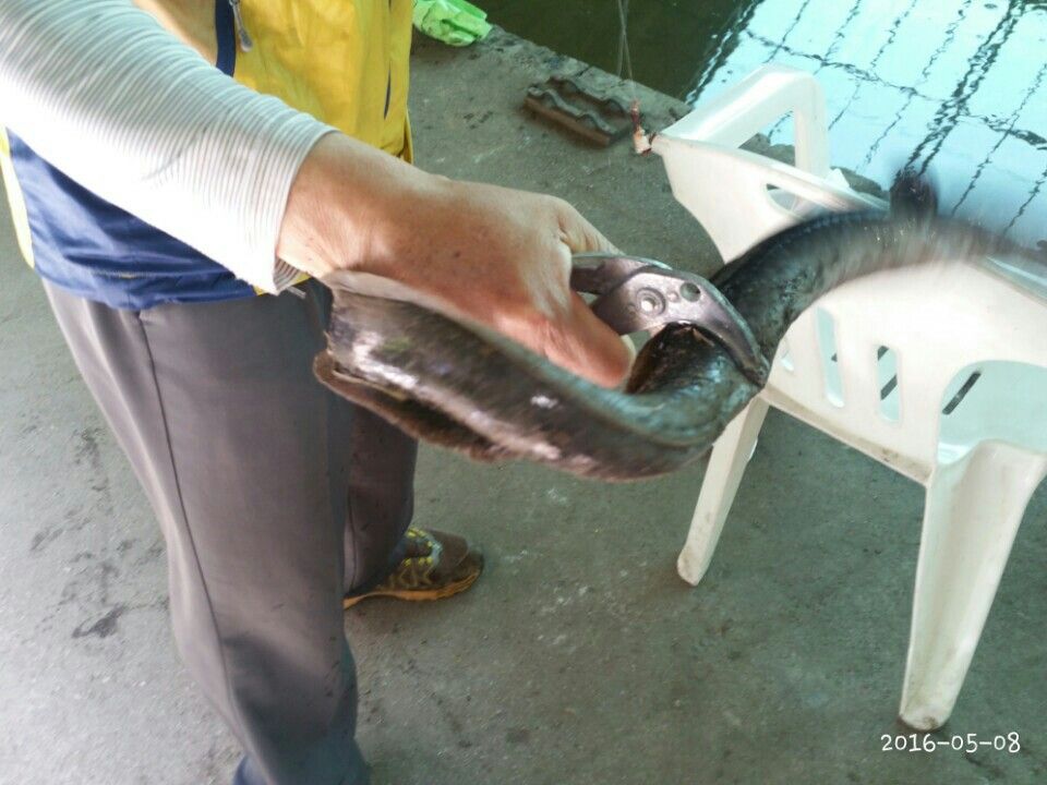 KakaoTalk_20160508_210058958.jpg