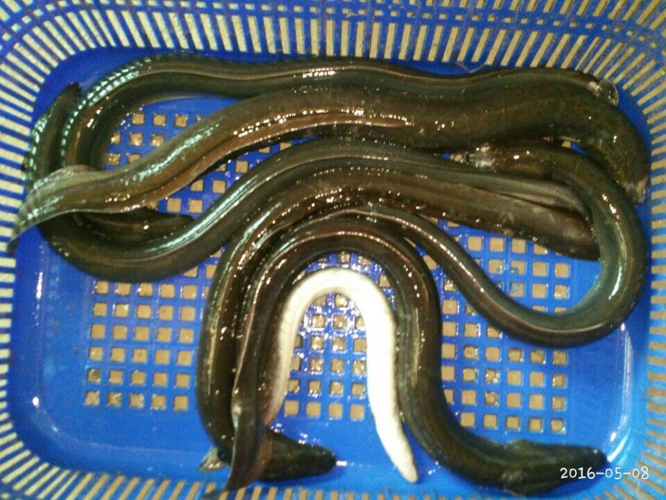KakaoTalk_20160508_210100664.jpg