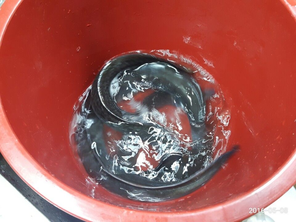 KakaoTalk_20160508_210103883.jpg